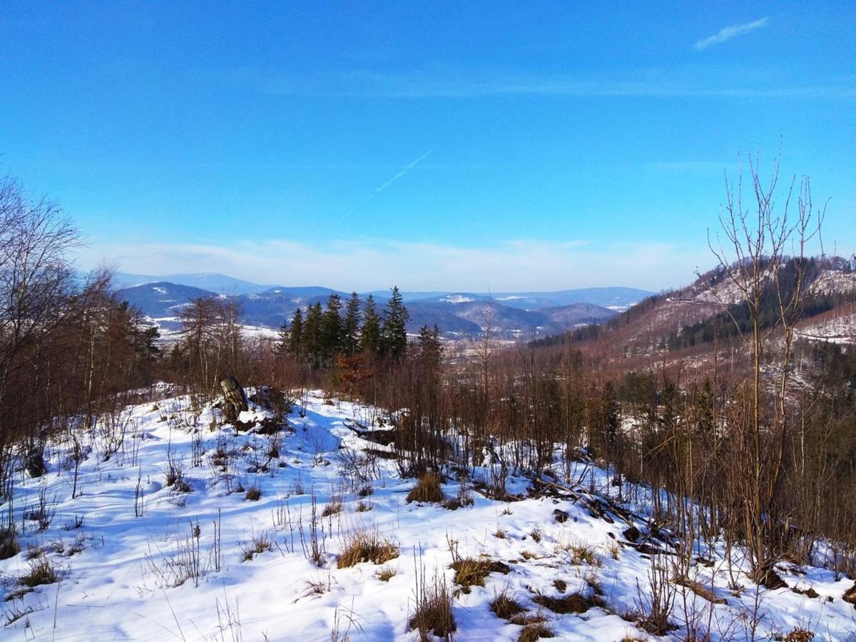 Pod Klonem Z Balia I Sauna Lubawka Dış mekan fotoğraf